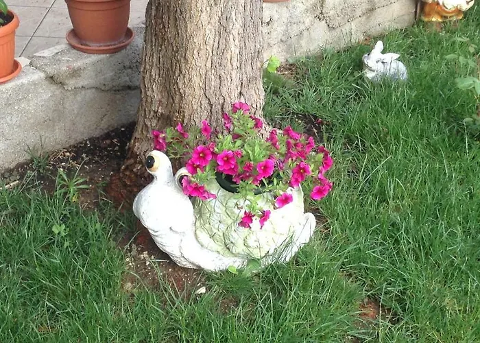 아파트 Biserka Barbat na Rabu