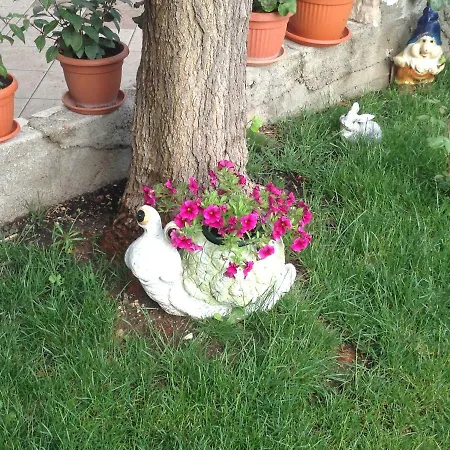 Apartment Biserka Barbat na Rabu